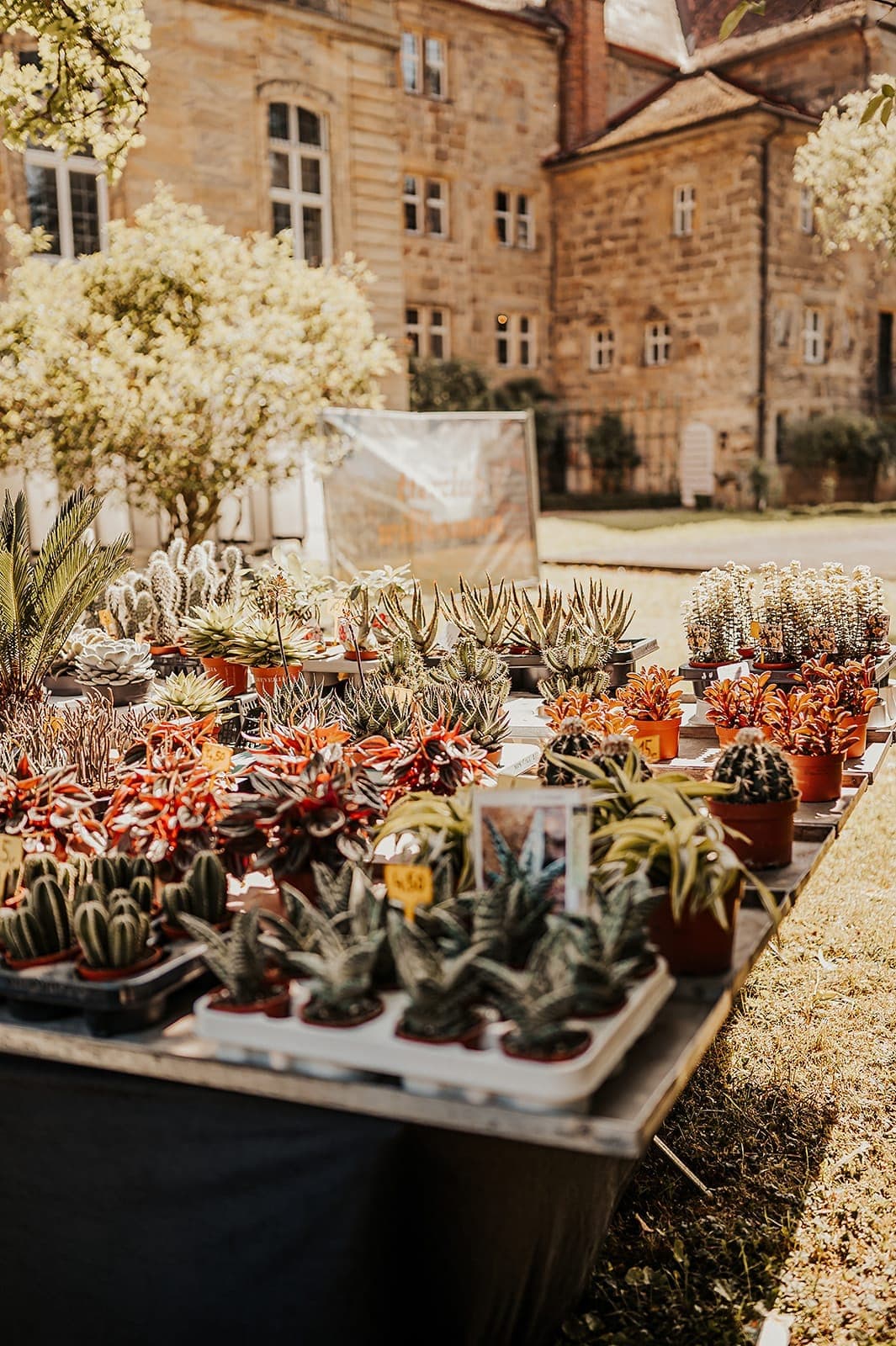 Gartenfest Impression 2