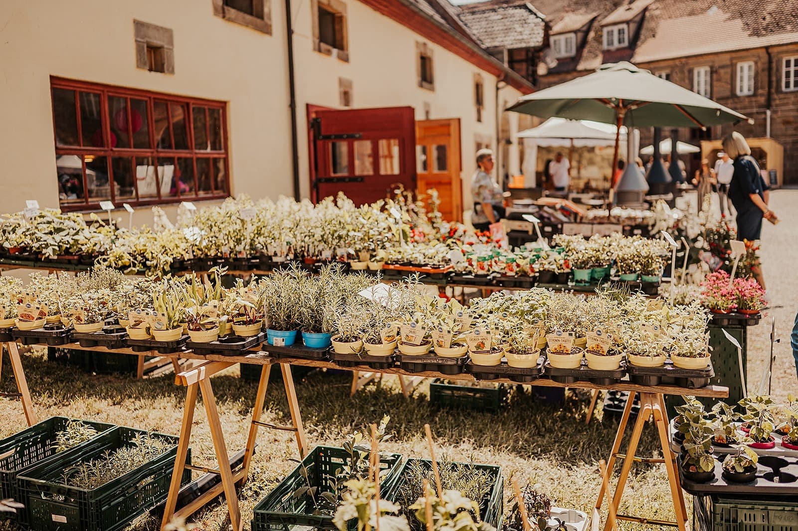 Gartenfest Impression 8